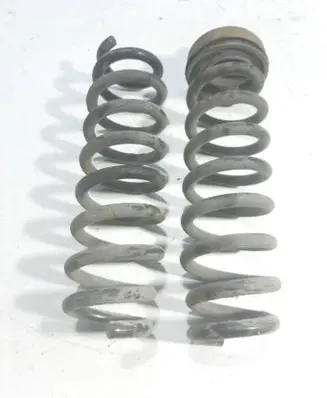 Rear coil spring