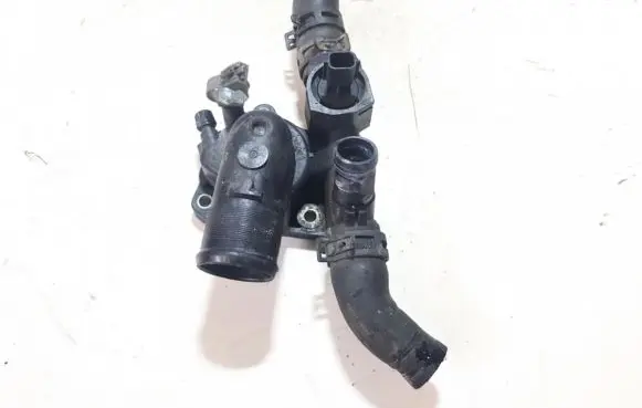Nissan Qashqai Engine coolant pipe/hose 8200801570