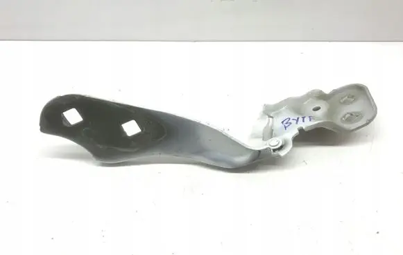 Tesla Model 3 Engine bonnet/hood hinges TESLA109879200OE