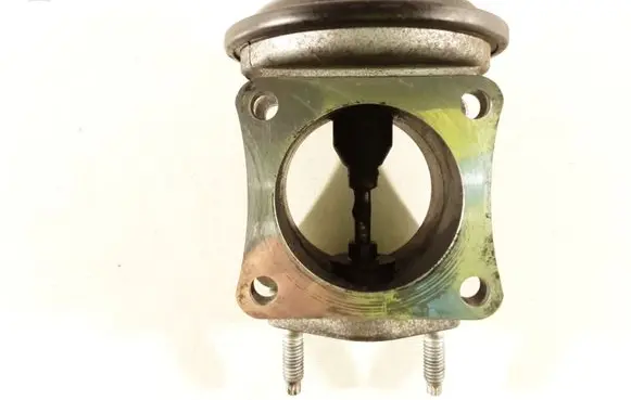 Toyota Land Cruiser (J100) EGR valve 2562017020 1350004100