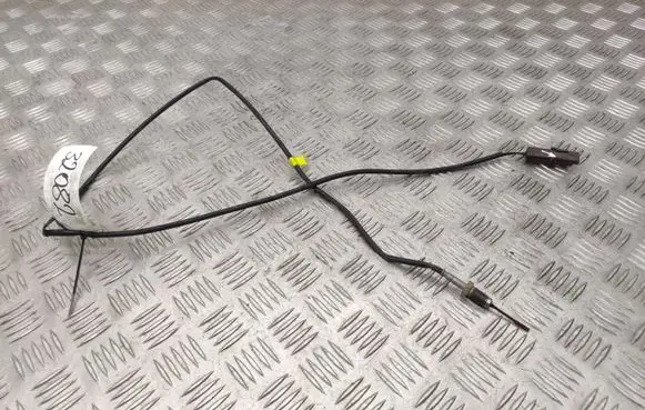 Citroen C5 Exhaust gas temperature sensor