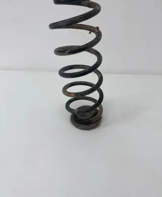 Rear coil spring