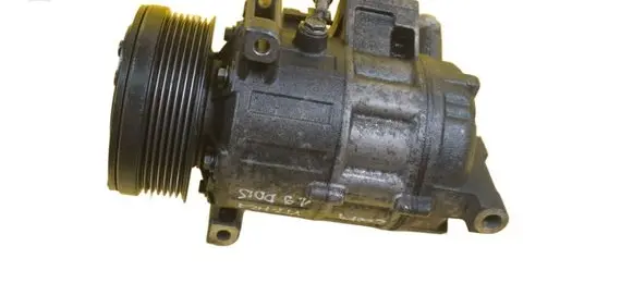 Suzuki Grand Vitara II Air conditioning (A/C) compressor (pump) 9520167JA0 F9QB2