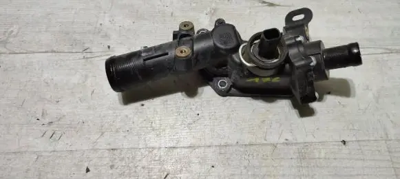 Thermostat/thermostat housing