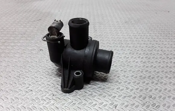 Thermostat/thermostat housing
