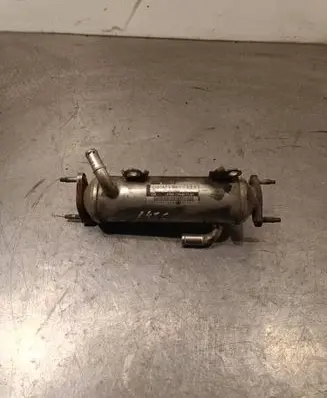 Opel Antara EGR valve cooler 96817829 C026509