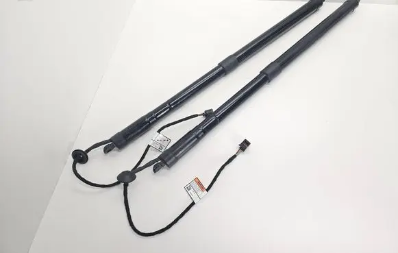 Tailgate strut