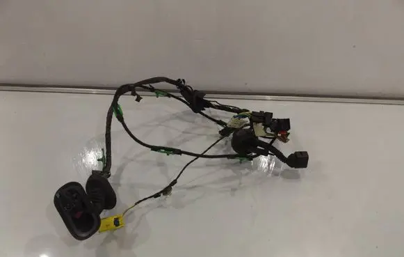 Audi A6 S6 C6 4F Front door wiring loom 4F1971029