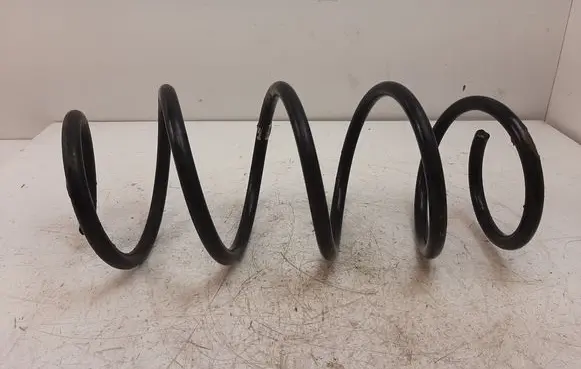 Front coil spring