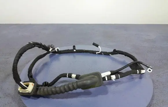 Volkswagen Scirocco Other wiring loom 1K8971148C