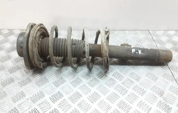 Peugeot 206 Front shock absorber/damper
