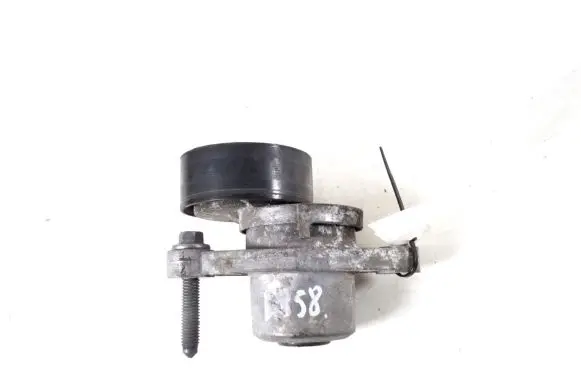 Citroen DS3 Timing belt/chain tensioner 9801875280