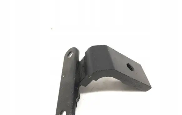 Renault Kadjar Loading door hinge set 