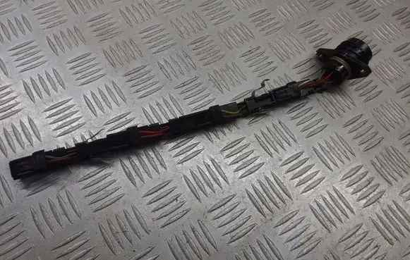 Volkswagen Golf V Fuel injector wires 