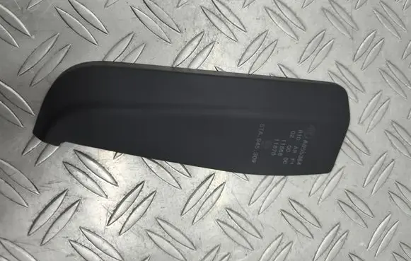Rear/tail light trim molding
