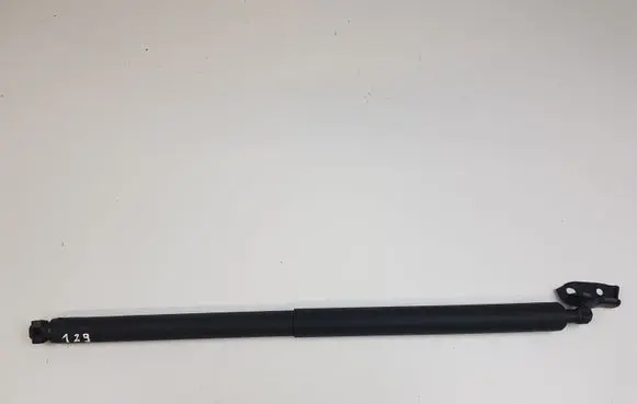 Opel Insignia A Tailgate/trunk strut/damper 13247949