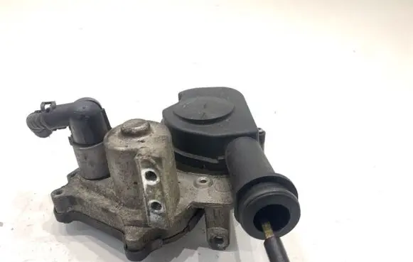 Volkswagen PASSAT B6 Intake manifold valve actuator/motor 2900308501