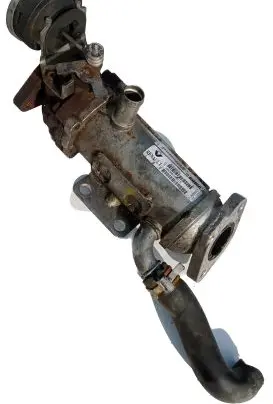 Renault Trafic III (X82) EGR valve cooler