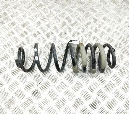 Ford Ecosport Rear coil spring JN115560B3B