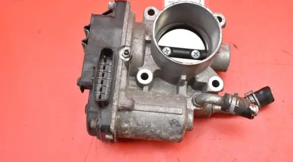 Throttle body valve