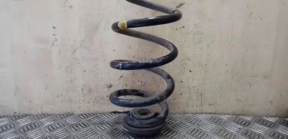 Nissan X-Trail T31 Rear coil spring