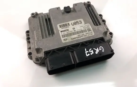 KIA Carens III Engine control unit/module 391202A410