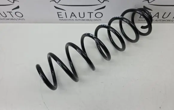 Rear coil spring