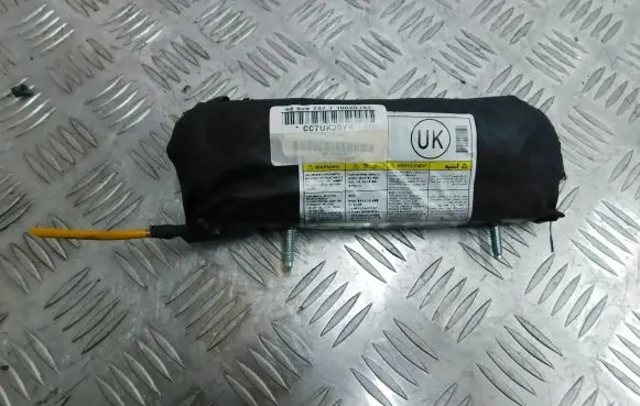 Chevrolet Captiva Seat airbag 96829737 10060194