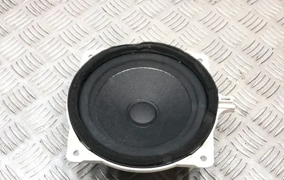 Rear door speaker