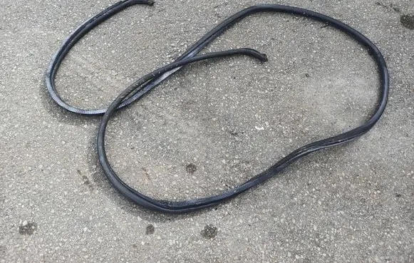 Ford Transit Loading door rubber seal (on body) 