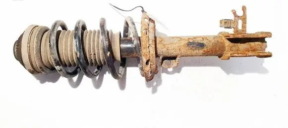 Opel Zafira B Front shock absorber/damper 22214013 24466547