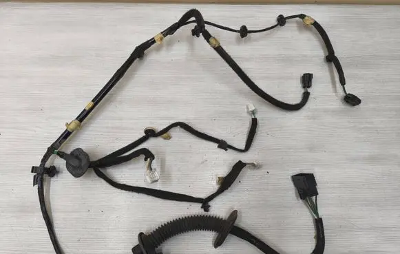 Renault Trafic III (X82) Front door wiring loom 241252495R