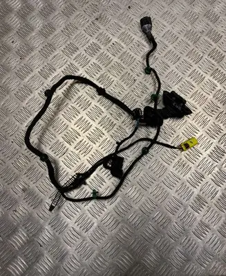 Front door wiring loom