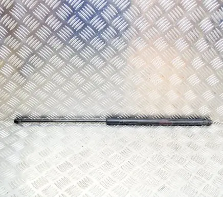 Jaguar F-Type Tailgate/trunk strut/damper EX53406A11AA