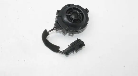 Cupra Born Panel speaker 10A035411