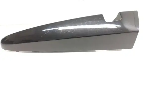 Rear/tail light trim molding