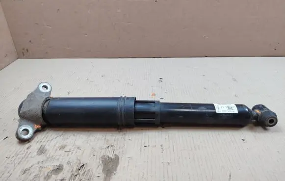 Ford Mustang Mach-E Rear shock absorber/damper LJ9C18080EAH