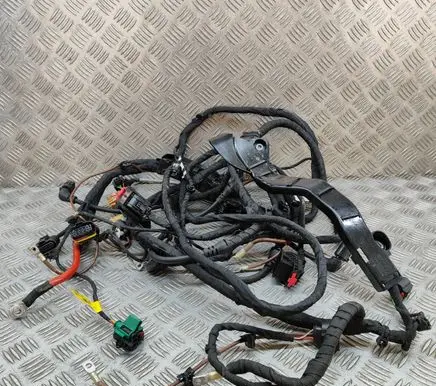 Cupra Born Other wiring loom TAB016490CD 1EA971445