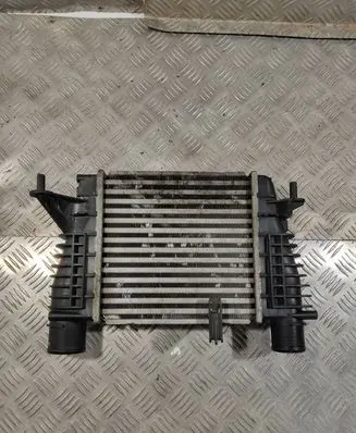 Nissan Juke I F15 Intercooler radiator 14461EM00A MM1129B