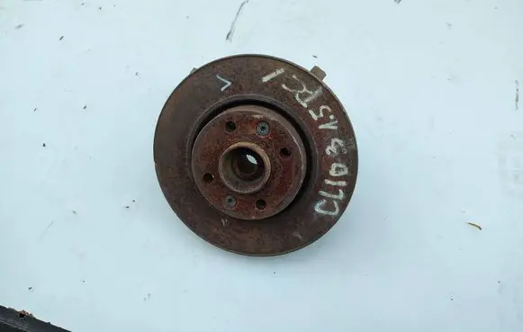 Renault Clio III Front wheel hub spindle knuckle