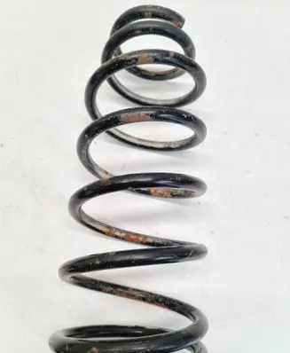 Rear coil spring