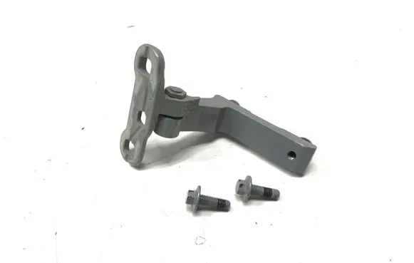 Rear door lower hinge