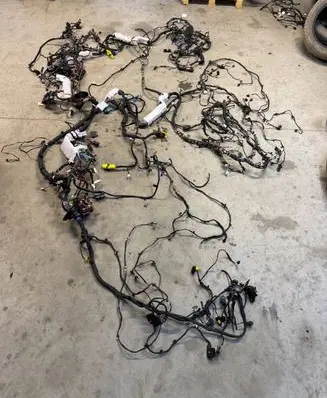 BMW X1 U11 Wiring harness