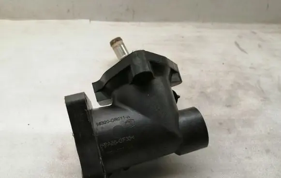Thermostat/thermostat housing