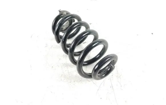 Volkswagen ID.4 Rear coil spring 1EA511103H