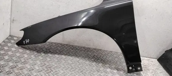 Fender