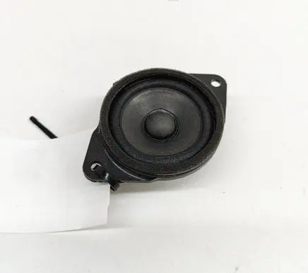Panel speaker