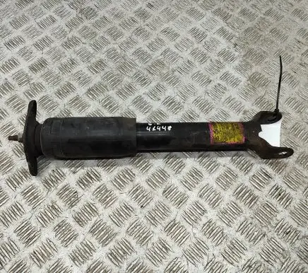 Chevrolet Corvette C6 Rear shock absorber/damper 10318361 25819268