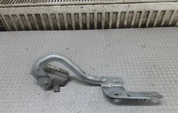 Renault Modus Engine bonnet/hood hinges 213689H