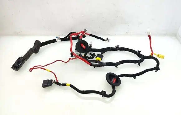 Hyundai Ioniq Front door wiring loom 91981F2020 91600G2500